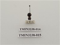 藏品(六斑月瓢蟲)的圖片